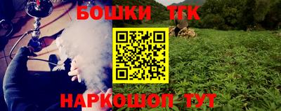 spice Кинель