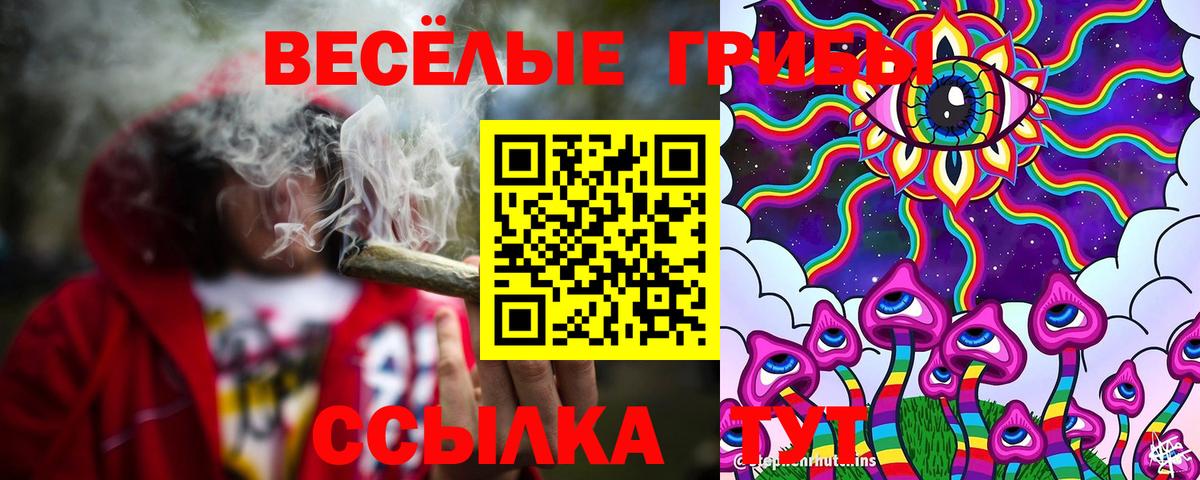 Псилоцибиновые грибы мухоморы Выборг