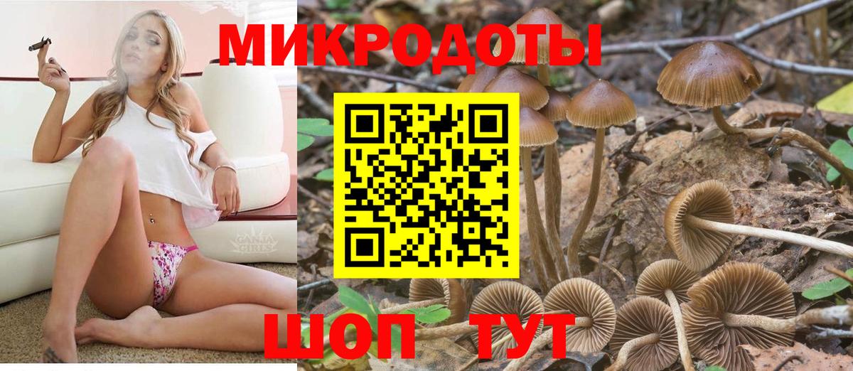 Псилоцибиновые грибы Psilocybine cubensis  даркнет сайт  Выборг  Вход с VPN 